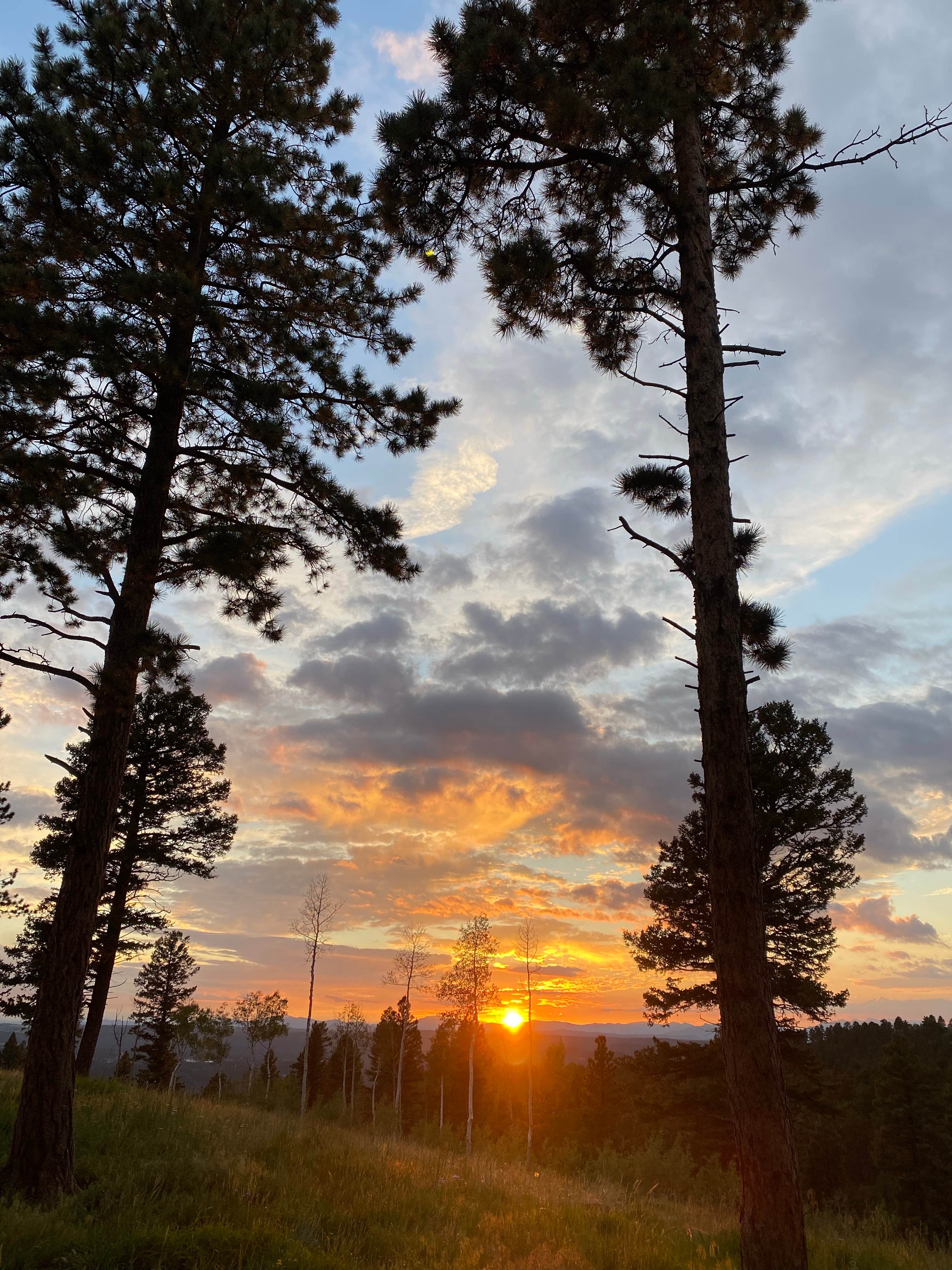 Lori H.'s photo of a dispersed camping area at Rampart Range Road - Dispersed Camping near Parker, CO