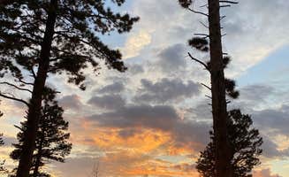 Lori H.'s photo of a dispersed camping area at Rampart Range Road - Dispersed Camping near Victor, CO