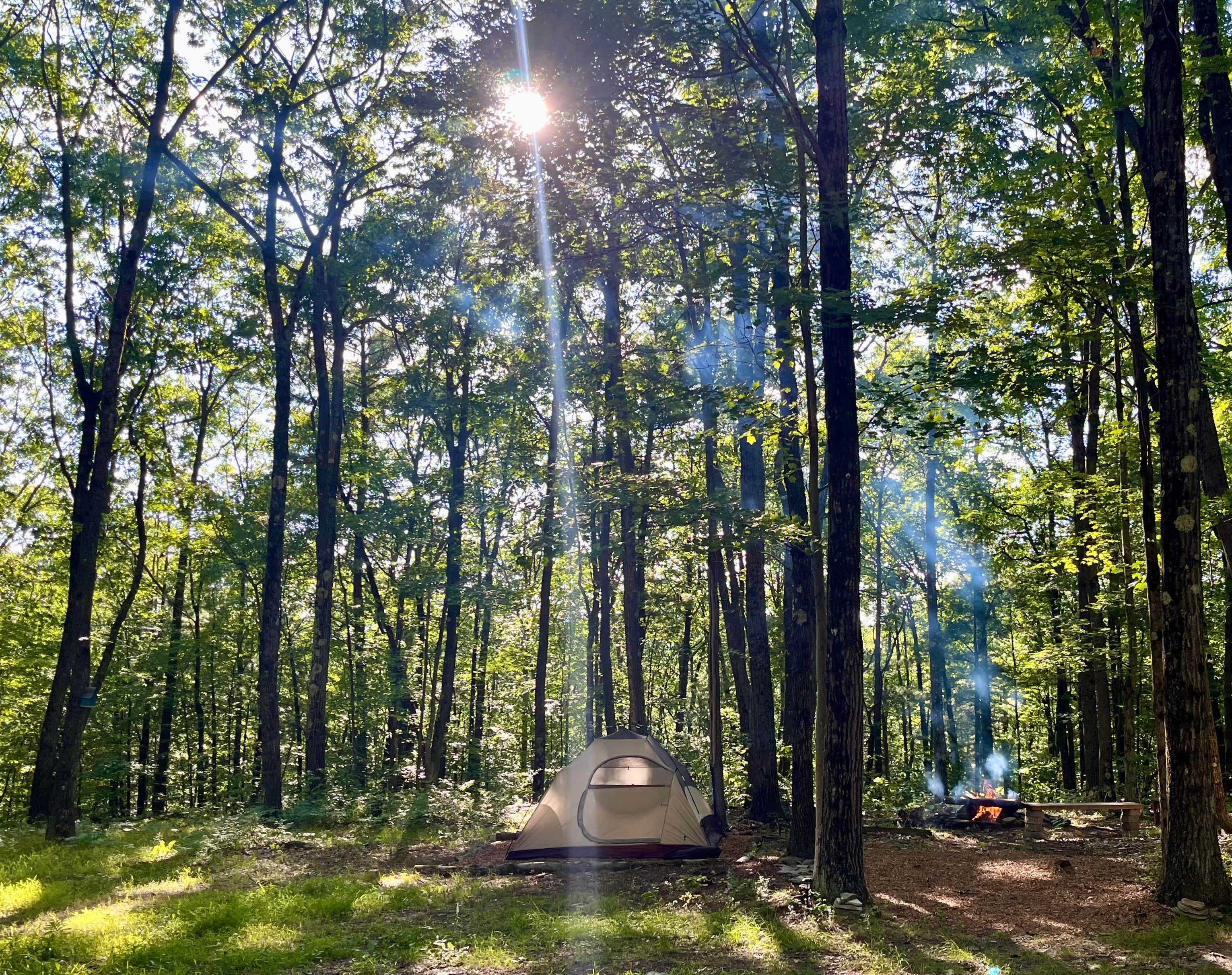 Carly S.'s photo of tent camping at Private Campsite on 50 Acres near Harford, NY