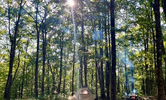 Camping near Oasis in the woods by the family tree: Private Campsite on 50 Acres, Kirkwood, New York