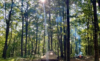Carly S.'s photo of tent camping at Private Campsite on 50 Acres near Factoryville, PA