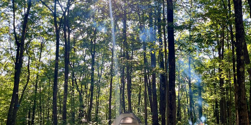 Camper submitted image from Private Campsite on 50 Acres