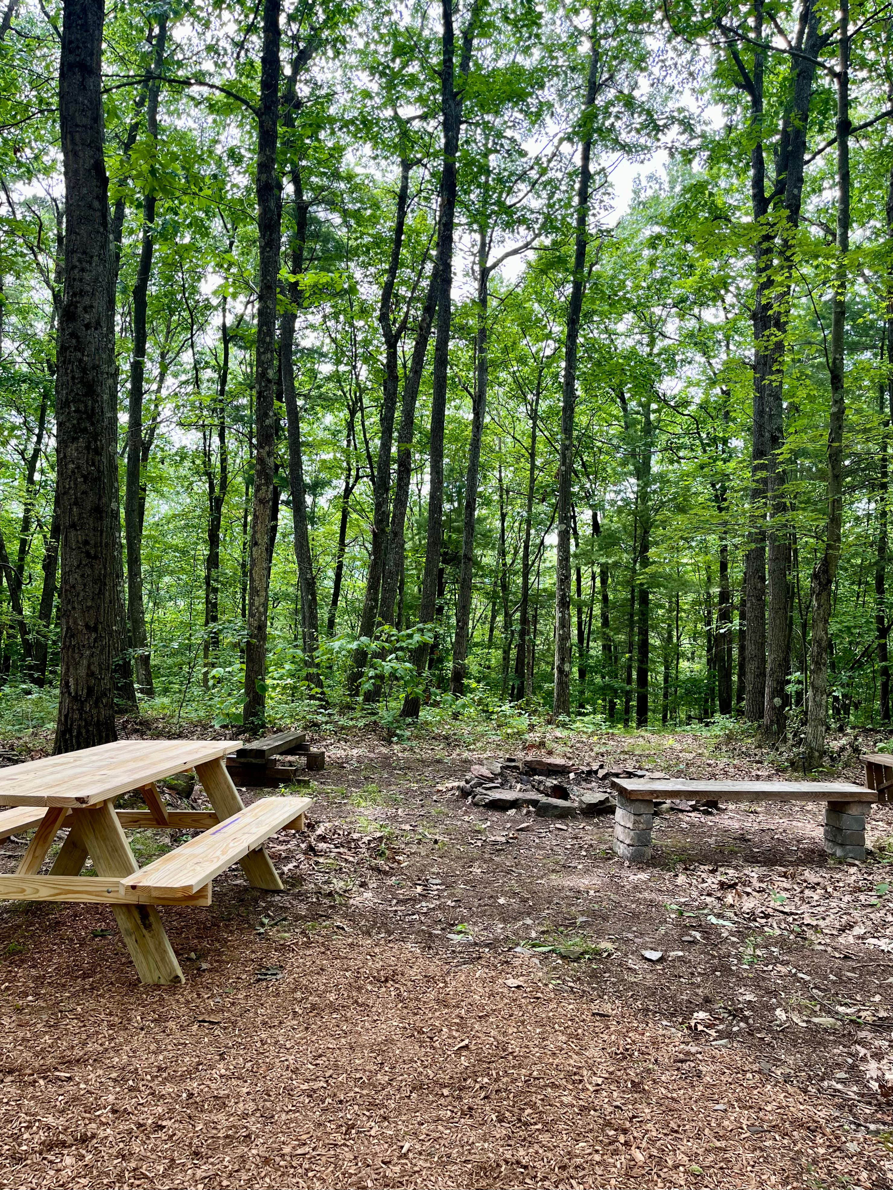 Camper-submitted photo at Private Campsite on 50 Acres near Thompson, PA