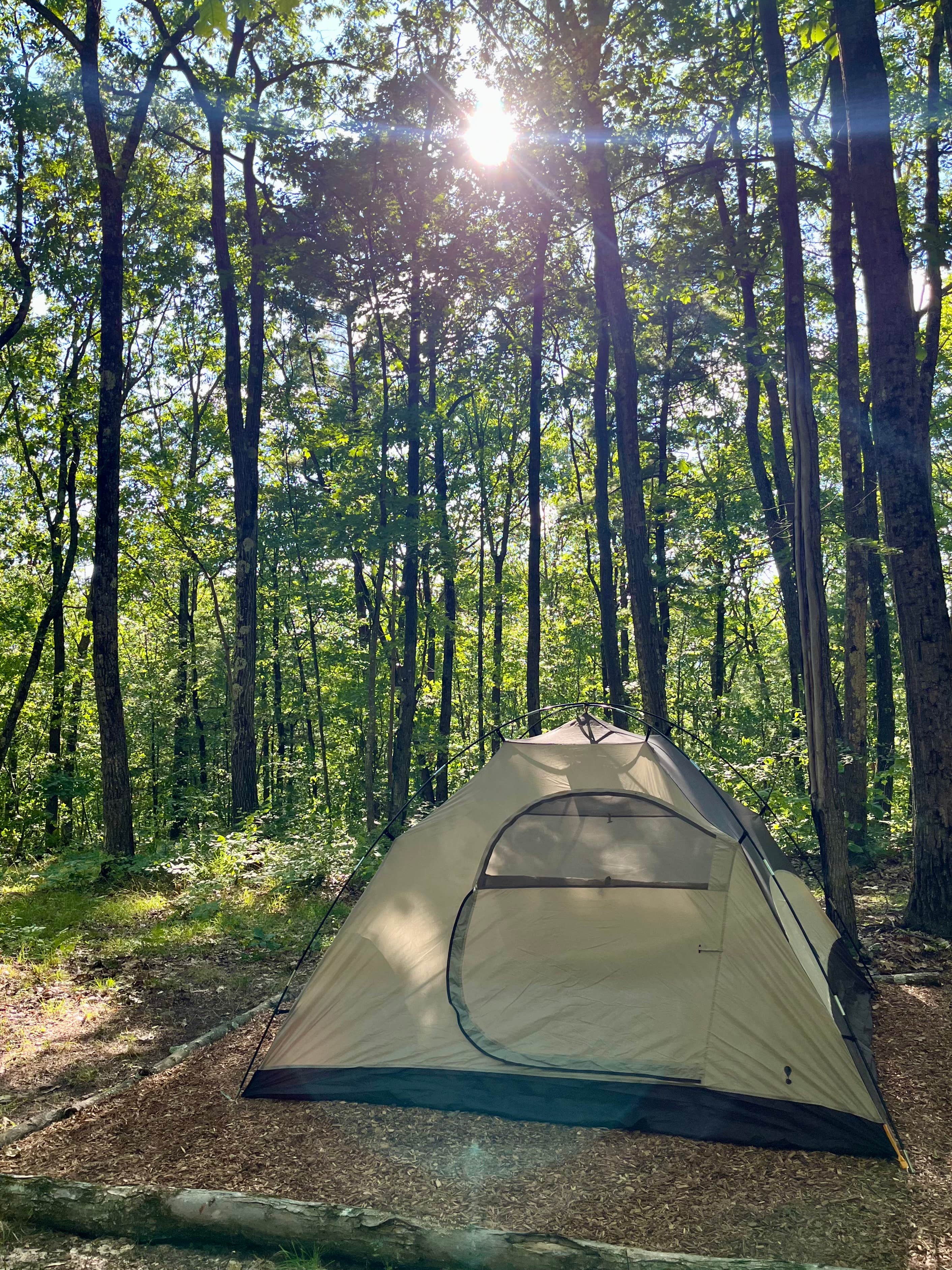 Camper-submitted photo at Private Campsite on 50 Acres near Thompson, PA