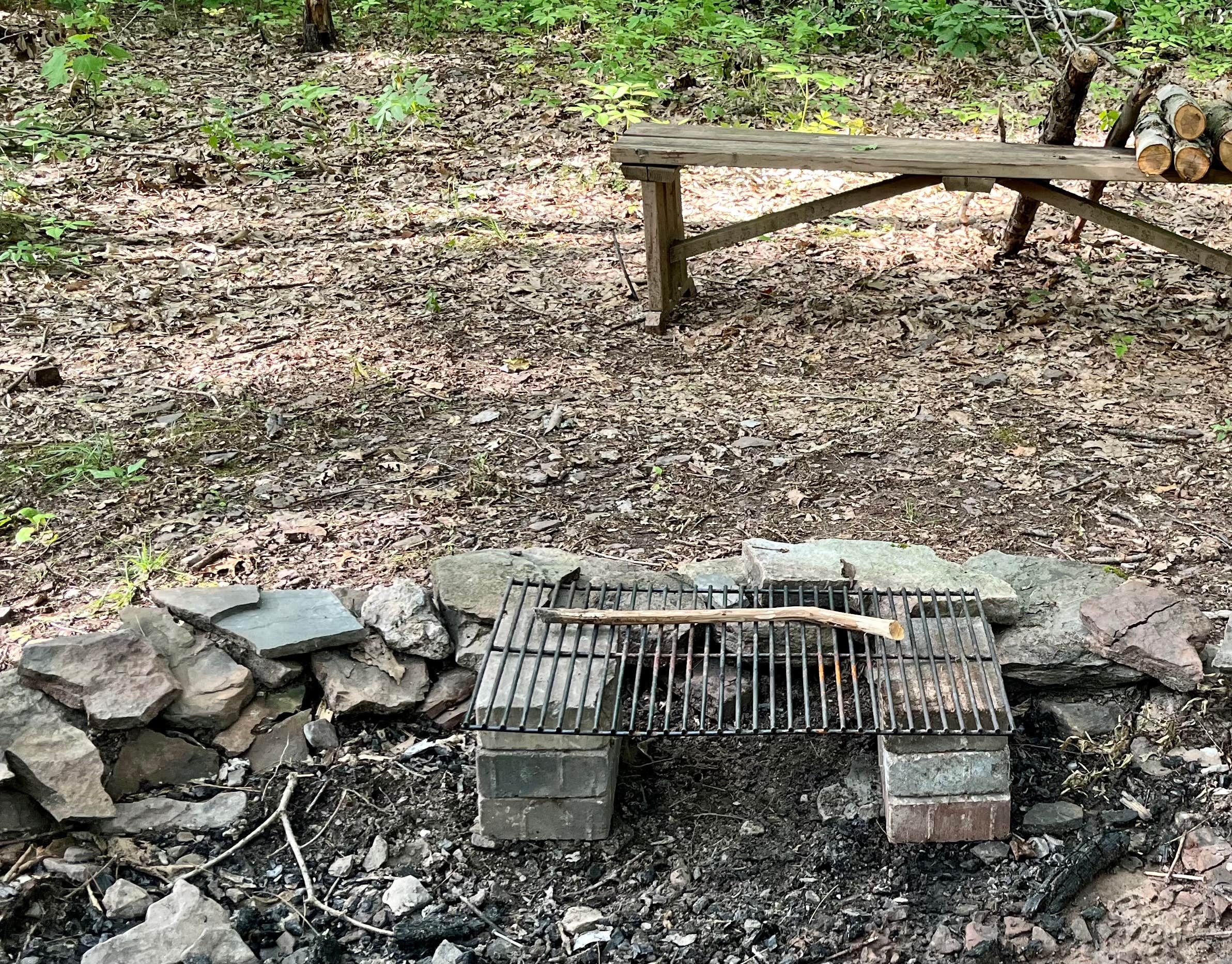 Camper-submitted photo at Private Campsite on 50 Acres near Thompson, PA