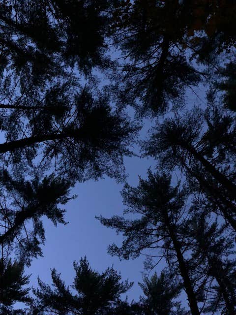 Camper-submitted photo at Pine Haven near Lyme, NH