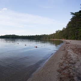 Newfound Rv Park The Dyrt Newfound Rv Park The Dyrt