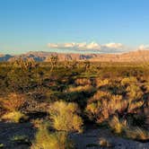 Review photo of Pierce Ferry Rd Dispersed — Lake Mead National Recreation Area by Douglas  O., August 23, 2022