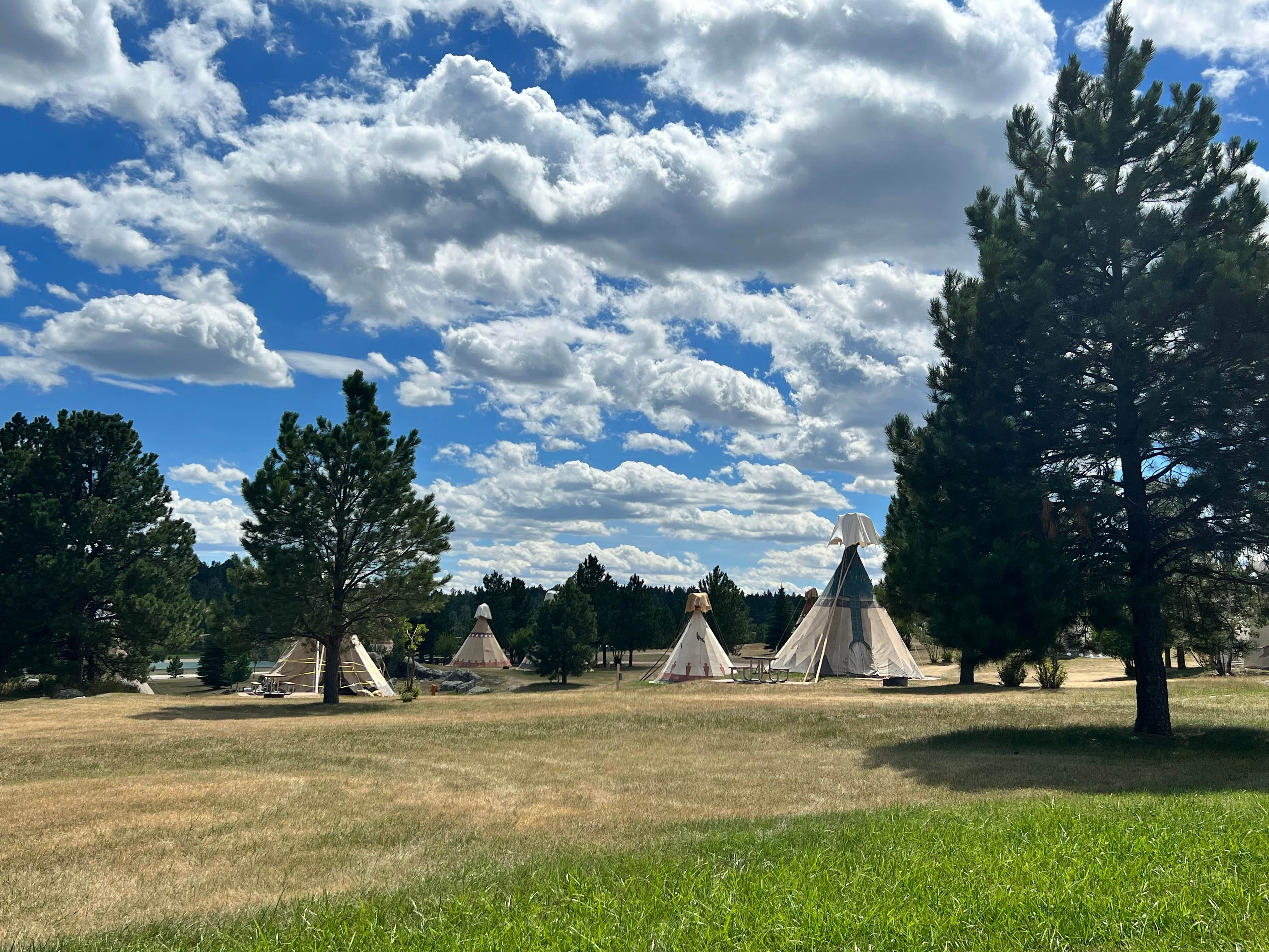 Jessica H.'s photo at Buffalo Ridge Camp Resort near Custer, SD