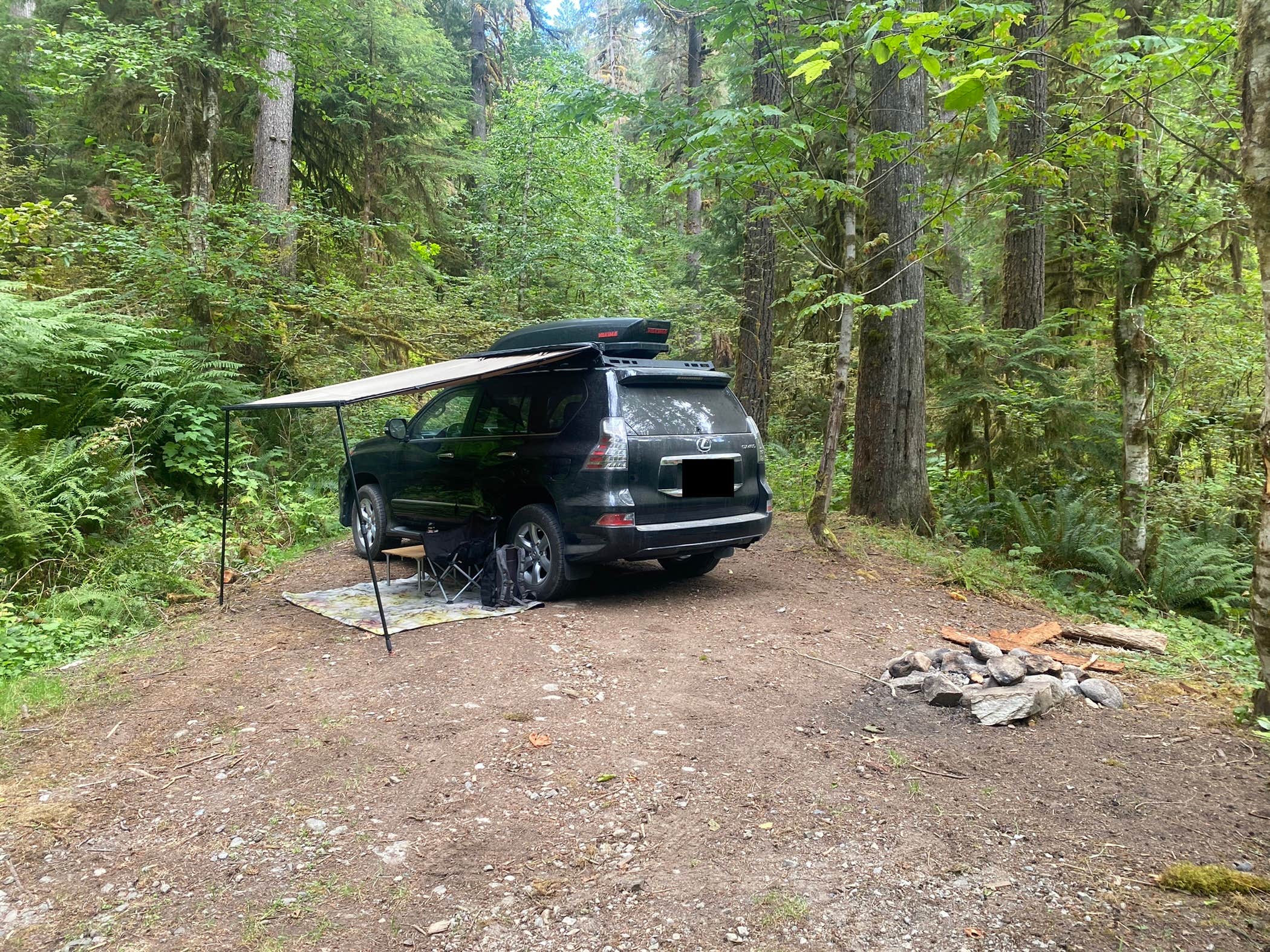Camper submitted image from NF Dispersed Camping - 4