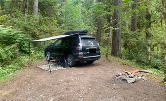 Lauren M.'s photo at NF Dispersed Camping near Rockport, WA