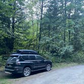 Review photo of NF Dispersed Camping by Lauren M., August 23, 2022