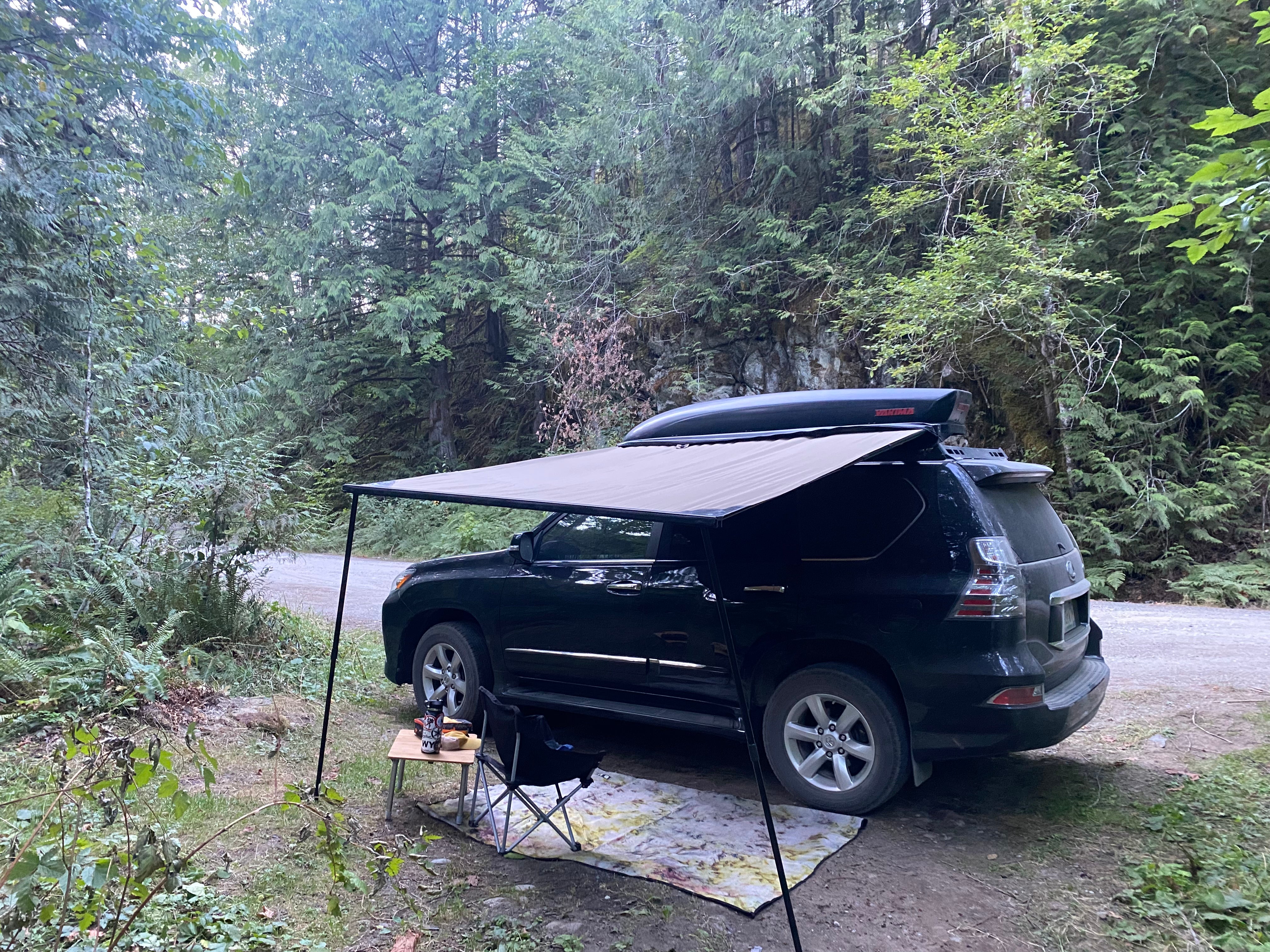 Camper submitted image from NF Dispersed Camping - 1