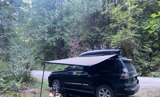 Camping near Goodell Creek Campground — Ross Lake National Recreation Area: NF Dispersed Camping, Marblemount, Washington