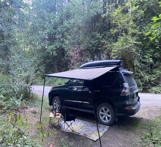 Camper-submitted photo from NF Dispersed Camping