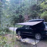 Review photo of NF Dispersed Camping by Lauren M., August 23, 2022