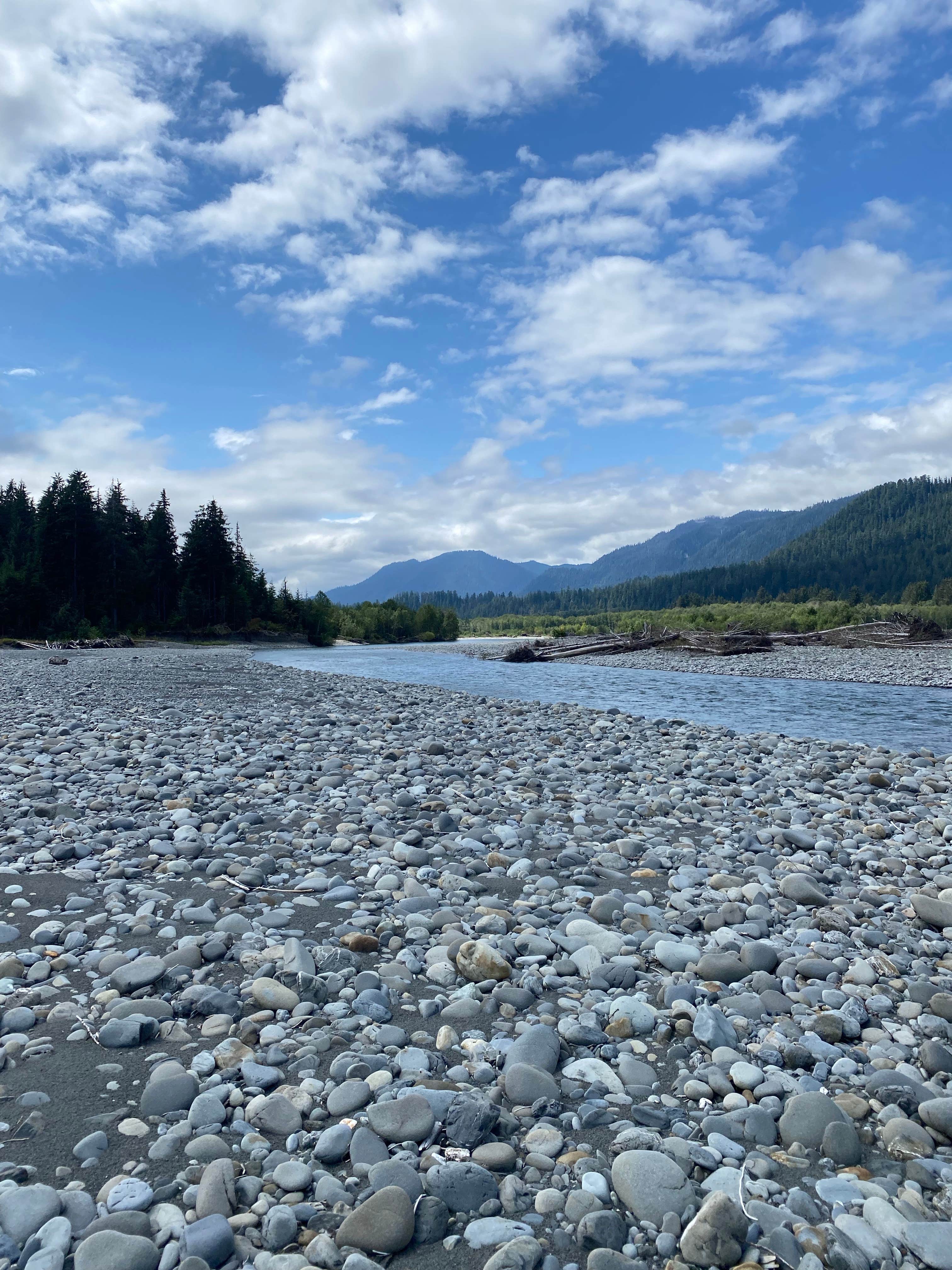 Camper-submitted photo at Dispersed South Shore Road near Olympic National Park