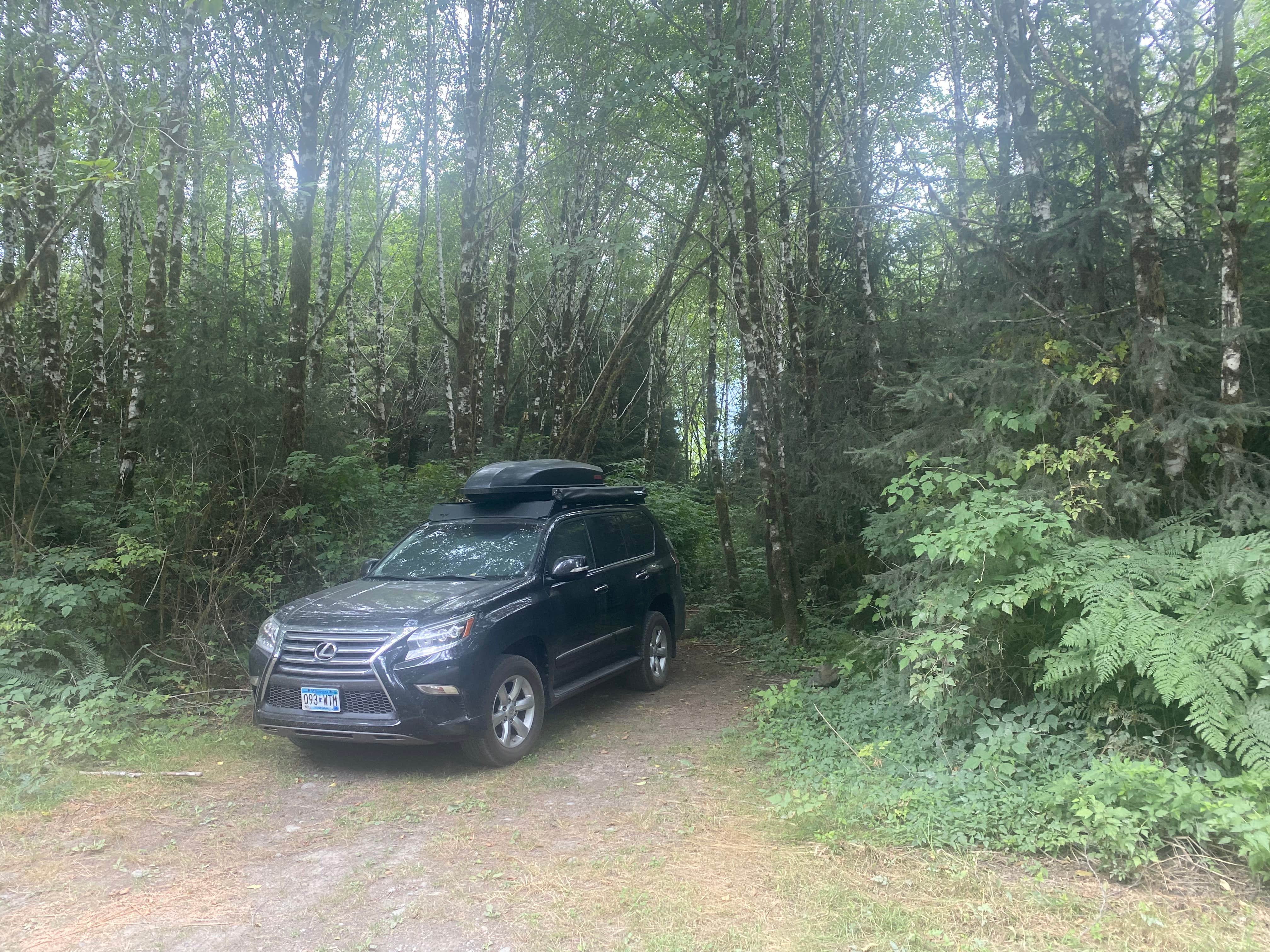 Camper-submitted photo at Dispersed South Shore Road near Olympic National Park