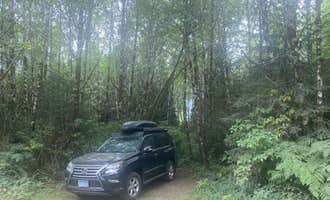 Camping near Large Pull Out (Dispersed) on FR 24: Dispersed South Shore Road, Quinault, Washington