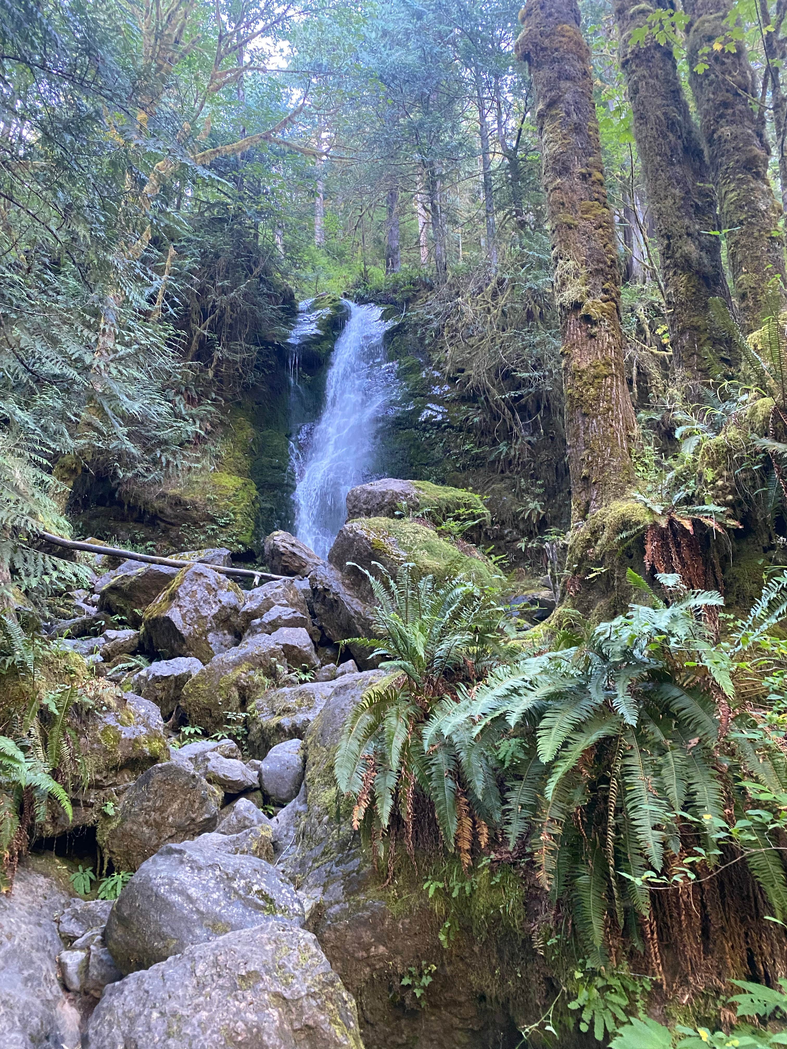 Camper-submitted photo at Dispersed South Shore Road near Olympic National Park