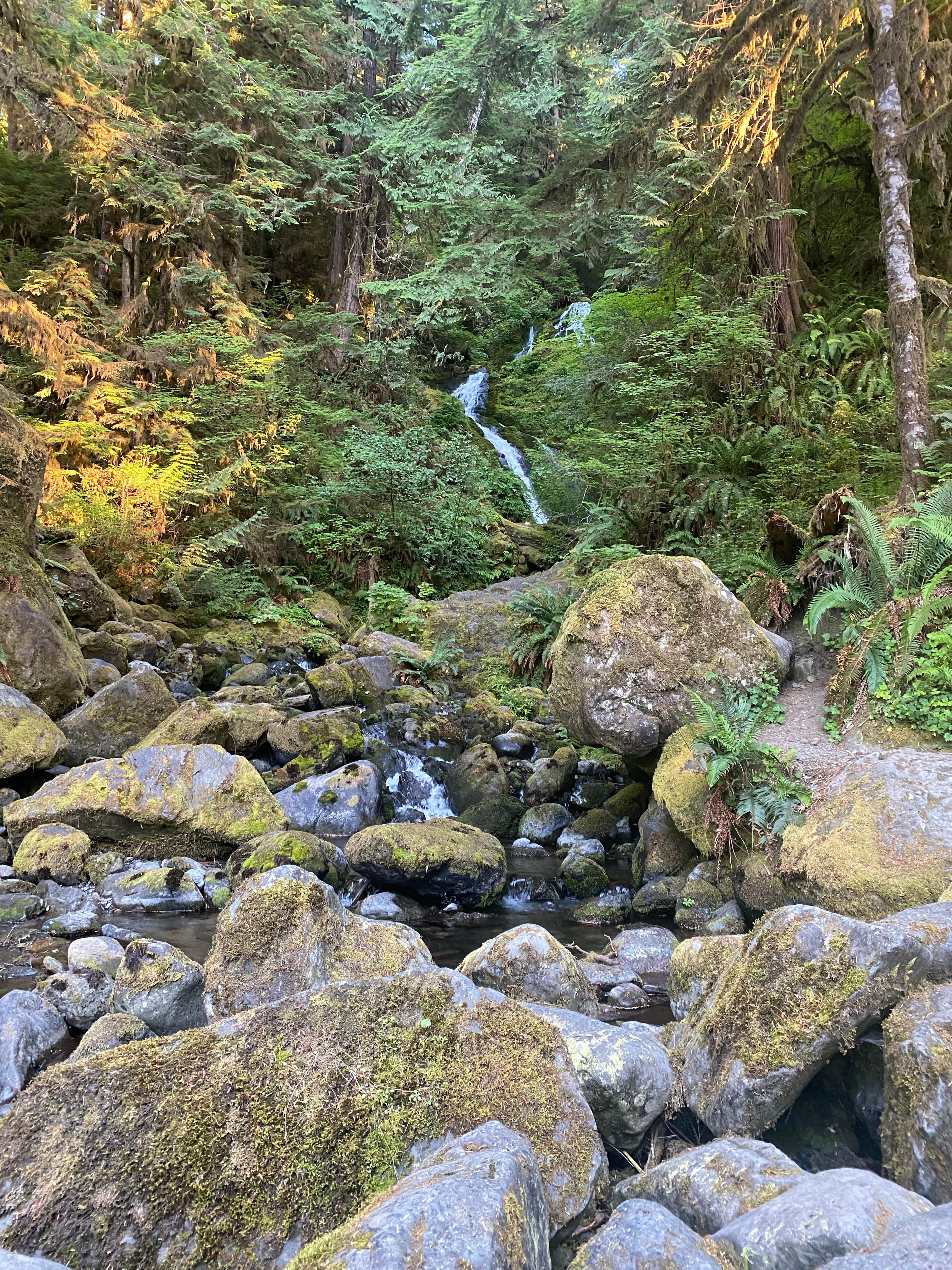 Camper-submitted photo at Dispersed South Shore Road near Olympic National Park