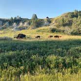 Review photo of Cottonwood Campground — Theodore Roosevelt National Park by Lauren M., August 23, 2022