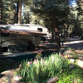 Review photo of Blue Spruce RV Park & Cabins by Larry N., August 23, 2022