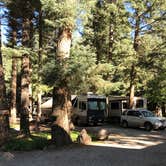 Review photo of Blue Spruce RV Park & Cabins by Larry N., August 23, 2022