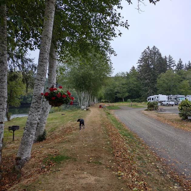 Hoquiam River RV Park | Hoquiam, WA