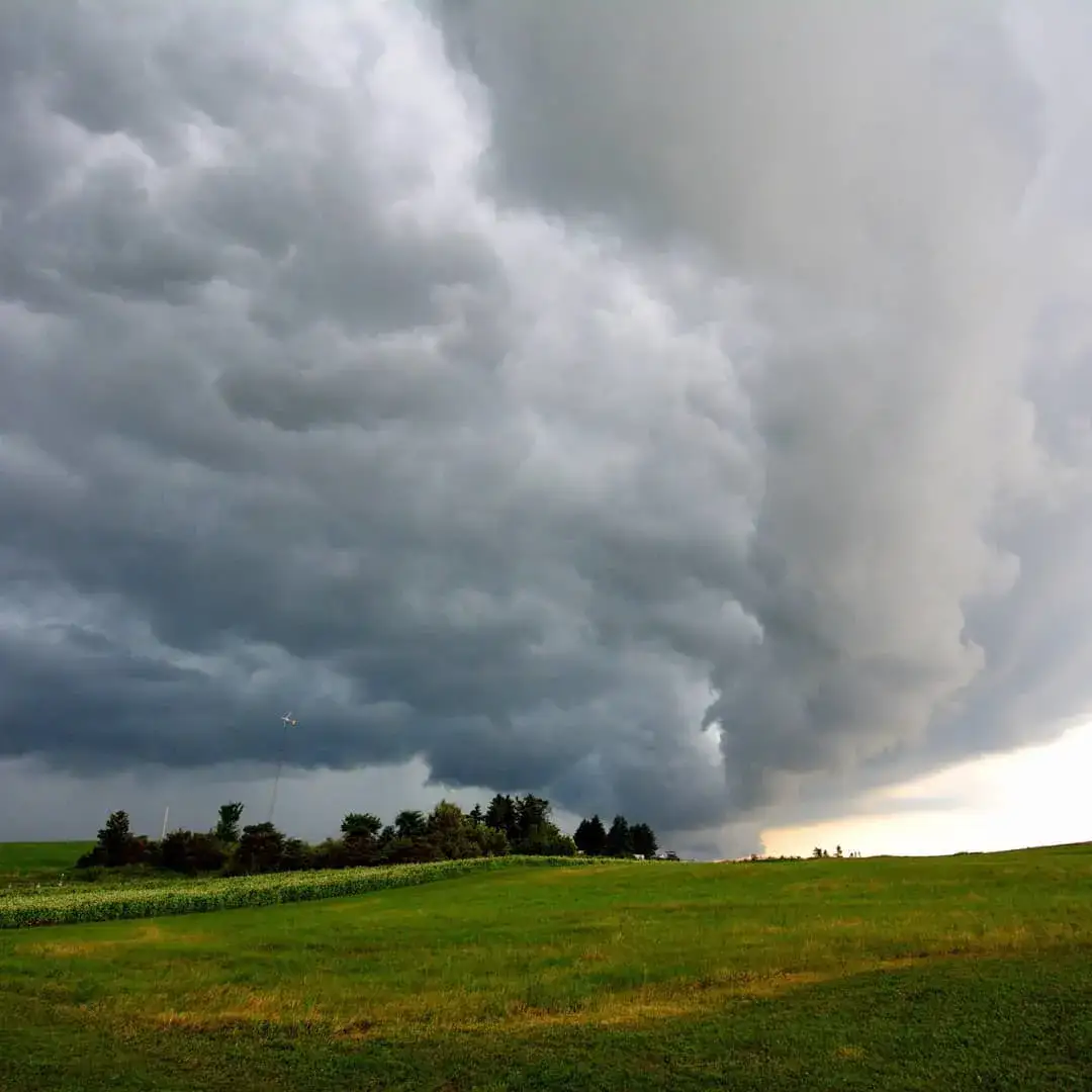 Camper-submitted photo at Lavender Essentials of Vermont near Beebe Plain, VT