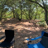 Review photo of First Landing State Park Campground by Hai T., August 23, 2022