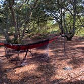 Review photo of First Landing State Park Campground by Hai T., August 23, 2022