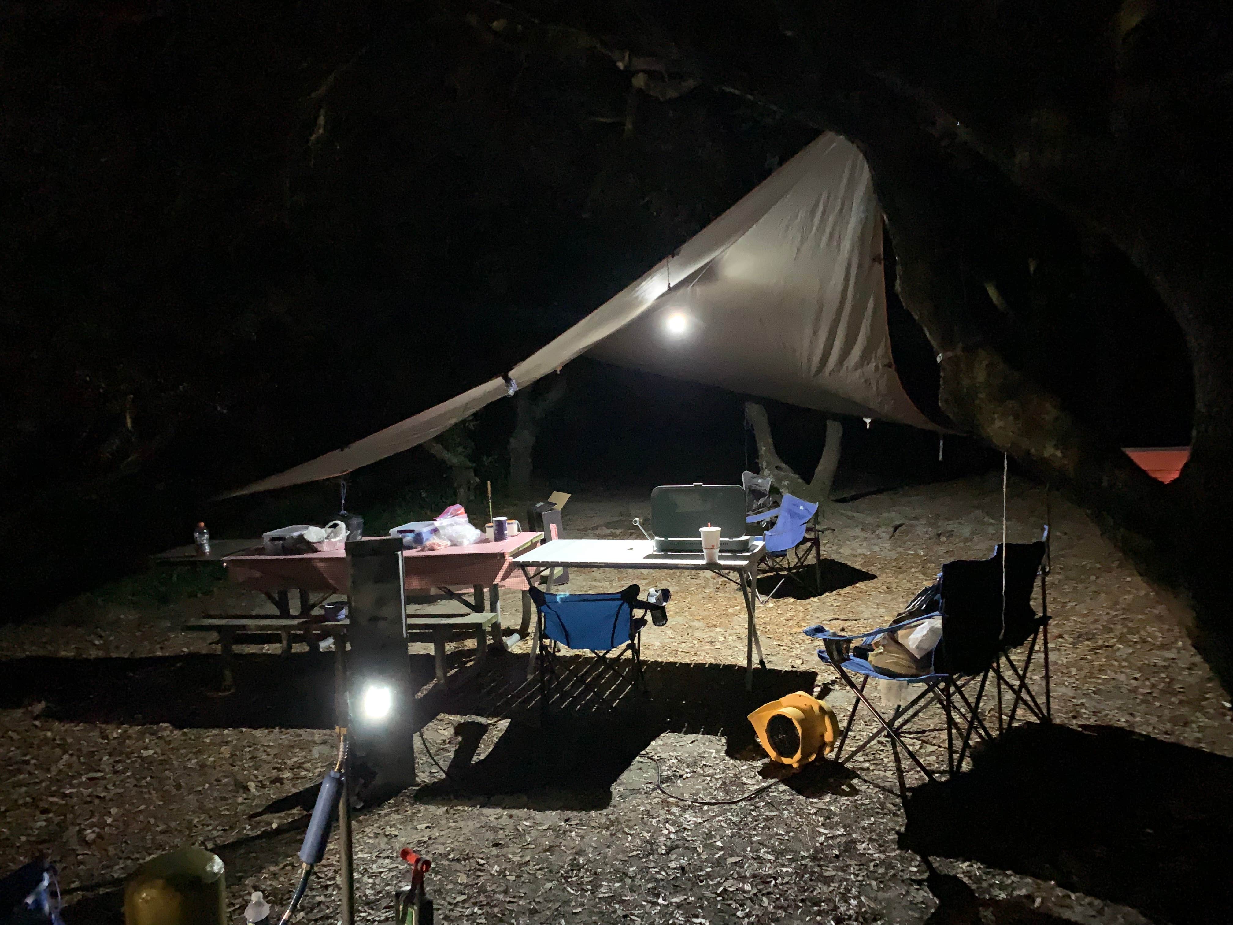 Hai T.'s photo at First Landing State Park Campground near Norfolk, VA