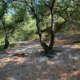 Review photo of First Landing State Park Campground by Hai T., August 23, 2022