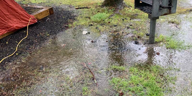 Camper submitted image from Richmond North - Kings Dominion KOA