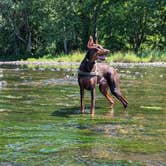 Review photo of Salt Rock State Campground by Randy F., August 23, 2022