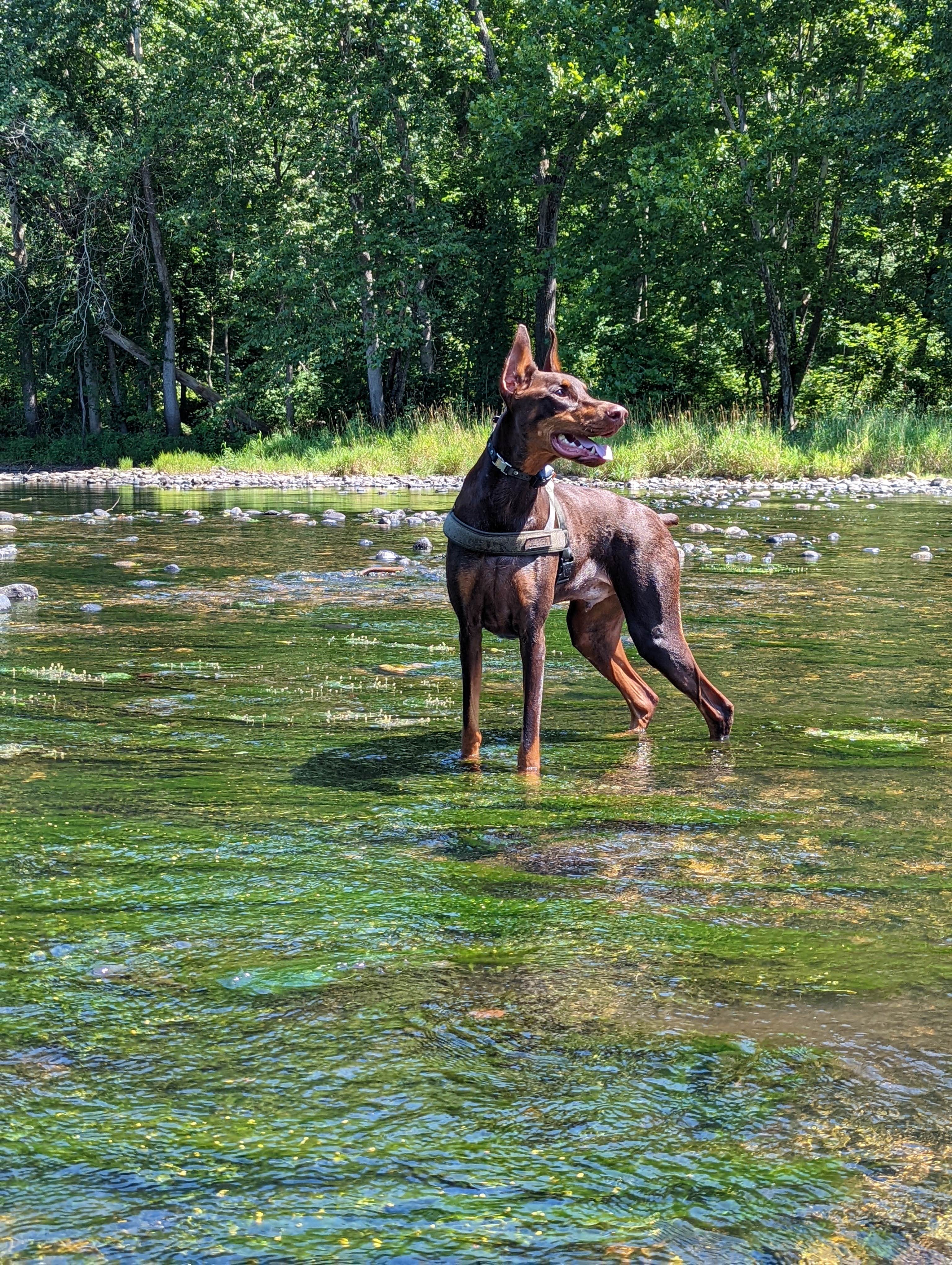 Camper submitted image from Salt Rock State Campground - 4