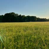 Review photo of Bandy Creek Campground — Big South Fork National River and Recreation Area by Regina , August 23, 2022