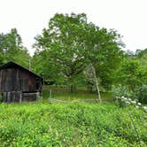 Review photo of Bandy Creek Campground — Big South Fork National River and Recreation Area by Regina , August 23, 2022