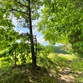 Review photo of Bandy Creek Campground — Big South Fork National River and Recreation Area by Regina , August 23, 2022