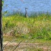 Review photo of Lackawanna State Park Campground by Michael , August 23, 2022