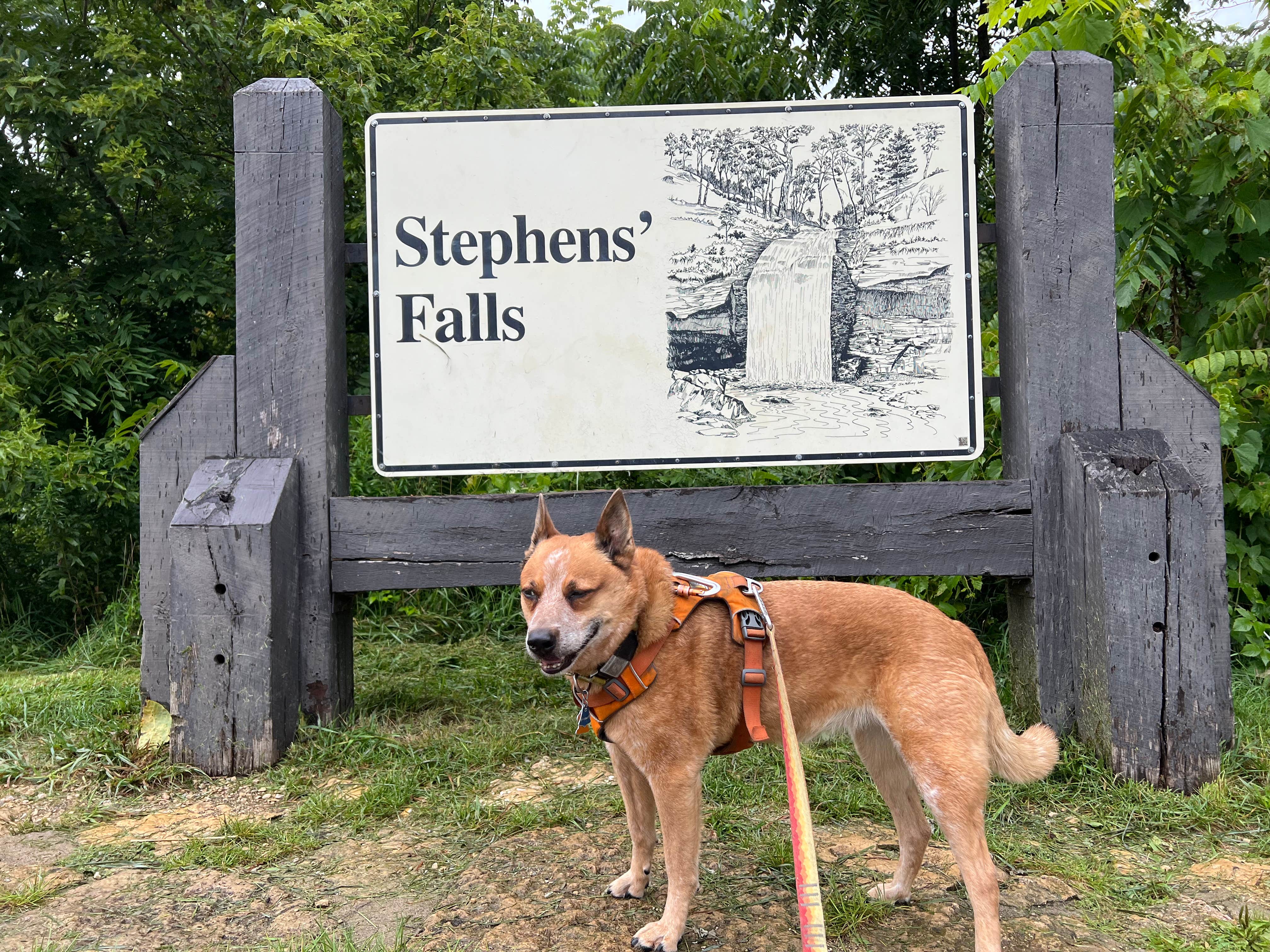 Art S.'s photo of camping with pets at Cox Hollow Campground — Governor Dodge State Park near Dodgeville, WI
