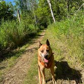 Review photo of Mauthe Lake Campground — Kettle Moraine State Forest-Northern Unit-Iansr by Art S., August 23, 2022