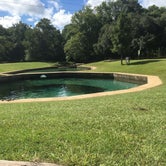 Review photo of Blue Springs State Park Campground by Anna R., July 16, 2018