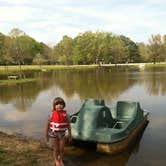 Review photo of Blue Springs State Park Campground by Anna R., July 16, 2018