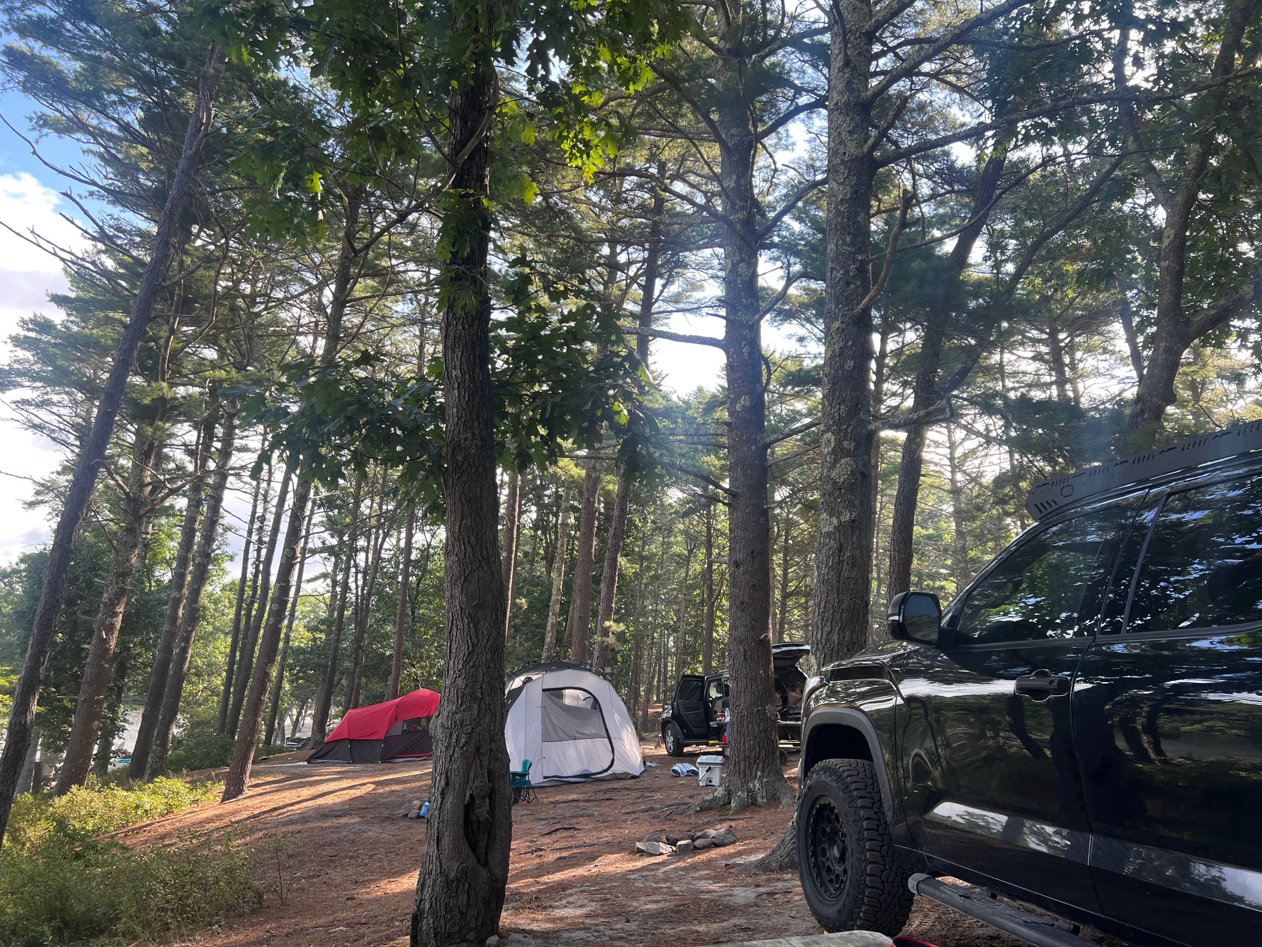 Camping near Charge Pond Campground — Myles Standish State Forest: Cape Cod's Maple Park Campground and RV Park, Buzzards Bay, Massachusetts
