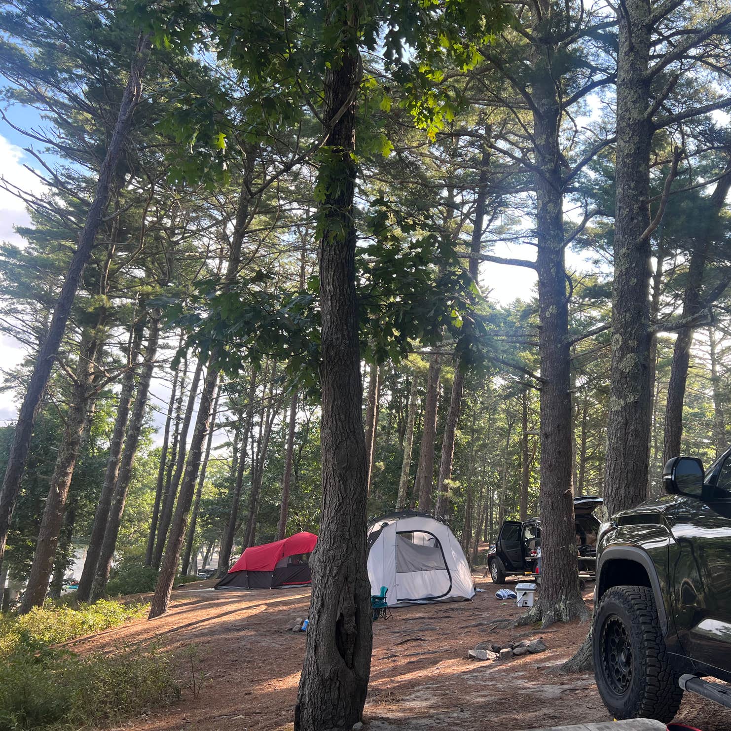 Cape Cod's Maple Park Campground and RV Park Buzzards Bay, MA