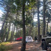 Review photo of Cape Cod's Maple Park Campground and RV Park by Tristan L., August 7, 2022