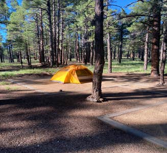 Camper-submitted photo from Woody Mountain Campground & RV Park