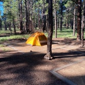 Review photo of Pinegrove Campground by Mariano A., August 23, 2022
